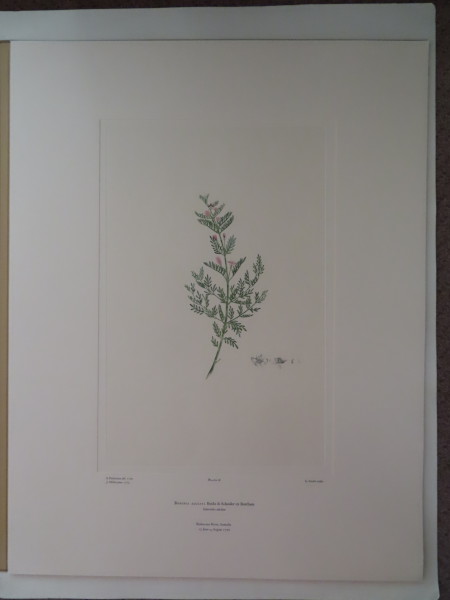 image FDA-E.2916_2_9-2016