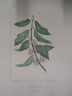image FDA-E.2916_18_12-2016
