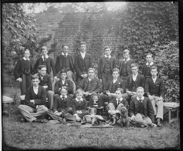 image PA-N.339-2024