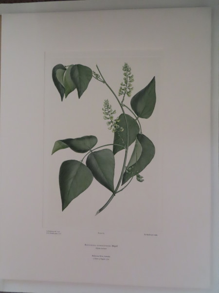 FDA-E.2916_4_19-2016 image FDA-E.2916_4_19-2016