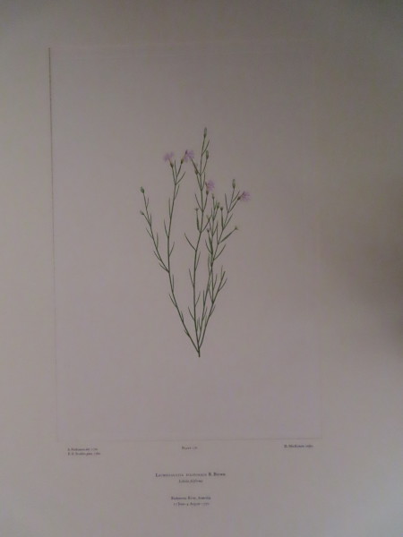FDA-E.2916_8_22-2016-A image FDA-E.2916_8_22-2016-A
